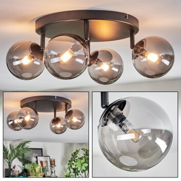 Chehalis Plafoniera, Lampada a sfera Grigio fumo, 4-Luci Chehalis Plafoniera, Lampada a sfera Grigio fumo, 4-Luci