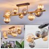 Chehalis Plafoniera, Lampada a sfera Oro, Nero, 8-Luci