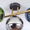 Gastor Plafoniera, Lampada a sfera Oro, Nero, 3-Luci