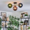 Gastor Plafoniera, Lampada a sfera Oro, Nero, 3-Luci