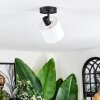 Bassagoda Plafoniera, Faretto da soffitto Nero, 1-Luce