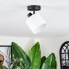 Bassagoda Plafoniera, Faretto da soffitto Nero, 1-Luce