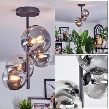 Chehalis Plafoniera, Lampada a sfera 33 cm Chiaro, Grigio fumo, 4-Luci