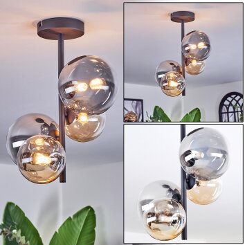 Chehalis Plafoniera, Lampada a sfera 33 cm Ambrato, Chiaro, Grigio fumo, 4-Luci Chehalis Plafoniera, Lampada a sfera 33 cm Ambrato, Chiaro, Grigio fumo, 4-Luci