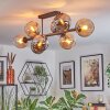Koyoto Plafoniera, Lampada a sfera Ambrato, Cromo, Grigio fumo, 8-Luci
