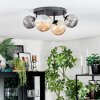 Chehalis Plafoniera, Lampada a sfera Ambrato, Grigio fumo, 4-Luci