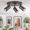 Foren Plafoniera, Faretto da soffitto LED Nero, 3-Luci, Cambia colore Foren Plafoniera, Faretto da soffitto LED Nero, 3-Luci, Cambia colore