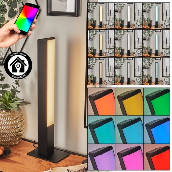 Delan Lampada da tavolo LED Nero, 1-Luce, Cambia colore Delan Lampada da tavolo LED Nero, 1-Luce, Cambia colore