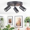 Foren Plafoniera, Faretto da soffitto LED Nero, 3-Luci, Cambia colore