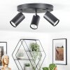 Foren Plafoniera, Faretto da soffitto LED Nero, 3-Luci, Cambia colore