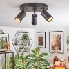Foren Plafoniera, Faretto da soffitto LED Nero, 3-Luci, Cambia colore