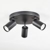 Foren Plafoniera, Faretto da soffitto LED Nero, 3-Luci, Cambia colore