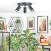Foren Plafoniera, Faretto da soffitto LED Nero, 3-Luci, Cambia colore