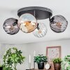 Koyoto Plafoniera, Lampada a sfera Ambrato, Chiaro, Grigio fumo, 4-Luci