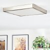 Finsrud Illuminazione bagno, Plafoniera, Panel LED Nichel opaco, 1-Luce