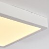 Finsrud Illuminazione bagno, Plafoniera, Panel LED Bianco, 1-Luce