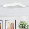 Finsrud Illuminazione bagno, Plafoniera, Panel LED Bianco, 1-Luce