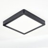 Finsrud Illuminazione bagno, Plafoniera, Panel LED Nero, 1-Luce