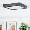 Finsrud Illuminazione bagno, Plafoniera, Panel LED Nero, 1-Luce