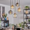 Koyoto Lampadario a sospensione, Lampada a sfera, Lampada a sospensione Oro, Nero, 5-Luci