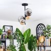 Chehalis Plafoniera, Lampada a sfera Ambrato, Grigio fumo, 4-Luci