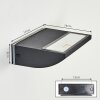 Damor Lampada da parete per esterno, Applique LED Nero, 1-Luce