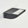 Damor Lampada da parete per esterno, Applique LED Nero, 1-Luce