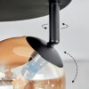 Chehalis Plafoniera, Lampada a sfera Ambrato, Chiaro, Grigio fumo, 4-Luci