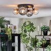 Chehalis Plafoniera, Lampada a sfera Ambrato, Chiaro, Grigio fumo, 4-Luci