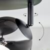 Chehalis Plafoniera, Lampada a sfera Cromo, Grigio fumo, 4-Luci