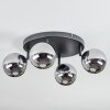 Chehalis Plafoniera, Lampada a sfera Cromo, Grigio fumo, 4-Luci