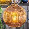 Koyoto Lampadario a sospensione, Lampada a sfera, Lampada a sospensione Oro, Nero, 5-Luci