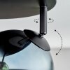 Gastor Plafoniera, Lampada a sfera Blu, Cromo, Verde, Chiaro, Grigio fumo, 4-Luci