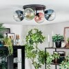Gastor Plafoniera, Lampada a sfera Blu, Verde, Chiaro, Ramato, 4-Luci