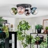 Gastor Plafoniera, Lampada a sfera Blu, Cromo, Verde, Chiaro, Ramato, Grigio fumo, 4-Luci