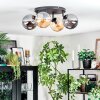 Gastor Plafoniera, Lampada a sfera Ambrato, Grigio fumo, 4-Luci