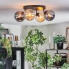 Gastor Plafoniera, Lampada a sfera Ambrato, Grigio fumo, 4-Luci