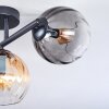 Koyoto Plafoniera, Lampada a sfera Ambrato, Chiaro, Grigio fumo, 3-Luci