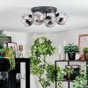Koyoto Plafoniera, Lampada a sfera Cromo, Chiaro, Grigio fumo, 4-Luci