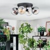 Gastor Plafoniera, Lampada a sfera Ambrato, Chiaro, Grigio fumo, 4-Luci