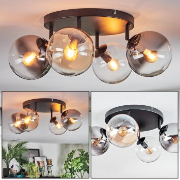 Gastor Plafoniera, Lampada a sfera Ambrato, Chiaro, Grigio fumo, 4-Luci