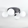 Gastor Plafoniera, Lampada a sfera Bianco, 4-Luci Gastor Plafoniera, Lampada a sfera Bianco, 4-Luci
