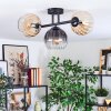 Koyoto Plafoniera, Lampada a sfera Ambrato, Chiaro, Grigio fumo, 3-Luci