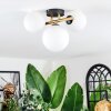 Chehalis Plafoniera, Lampada a sfera Oro, Nero, 3-Luci