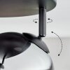 Koyoto Plafoniera, Lampada a sfera Ambrato, Cromo, Chiaro, Grigio fumo, 4-Luci