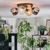 Koyoto Plafoniera, Lampada a sfera Ambrato, Cromo, Chiaro, Grigio fumo, 4-Luci