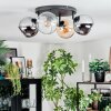 Koyoto Plafoniera, Lampada a sfera Ambrato, Cromo, Chiaro, Grigio fumo, 4-Luci