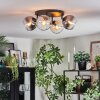 Koyoto Plafoniera, Lampada a sfera Ambrato, Chiaro, Grigio fumo, 4-Luci