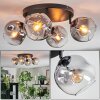 Ripoll Plafoniera, Lampada a sfera Chiaro, Grigio fumo, 4-Luci