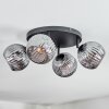 Ripoll Plafoniera, Lampada a sfera Grigio fumo, 4-Luci